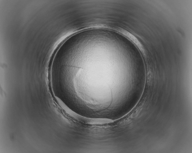 X0000090901051200708061500