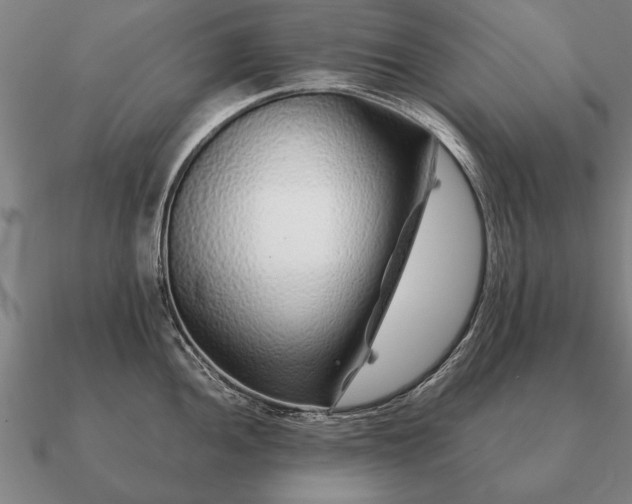 X0000090901052200708061500