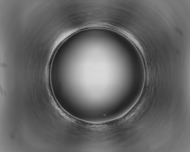 X0000090901053200708061500