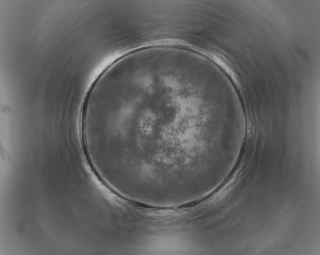 X0000090901054200708061500