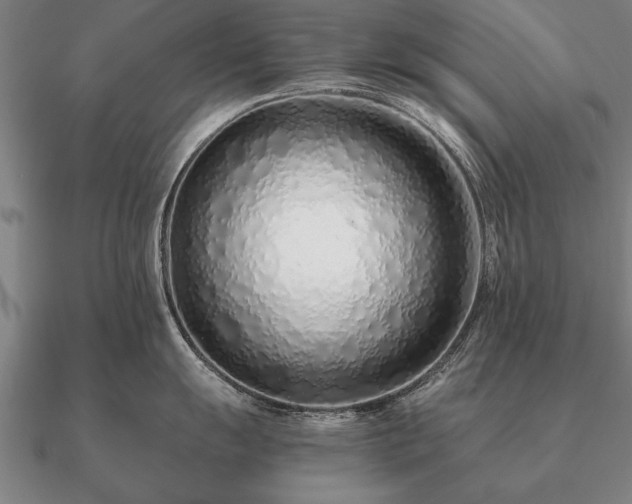 X0000090901055200708061500