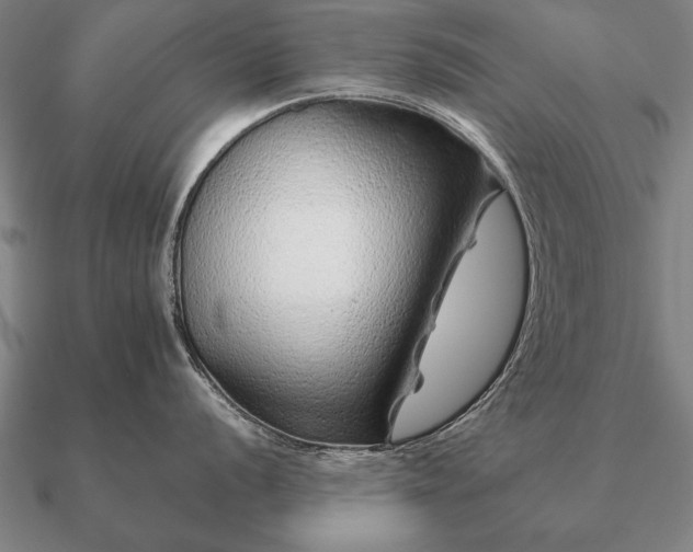 X0000090901056200708061500