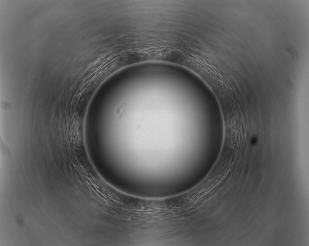 X0000090901058200708061500