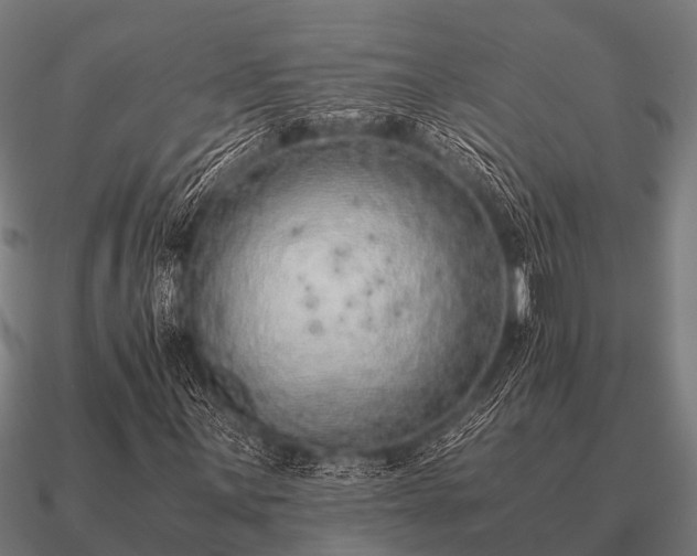 X0000090901059200708061500