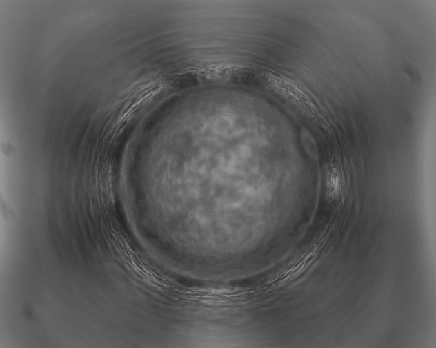 X0000090901060200708061500