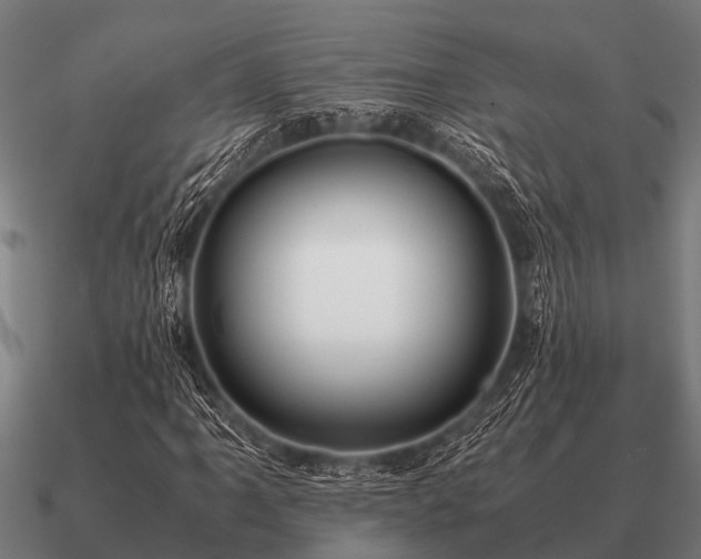 X0000090901061200708061500