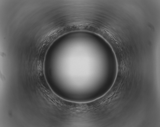 X0000090901062200708061500