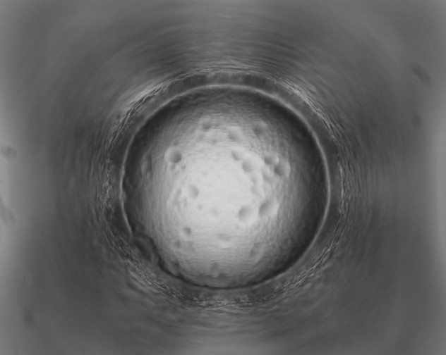 X0000090901063200708061500