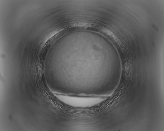 X0000090901064200708061500