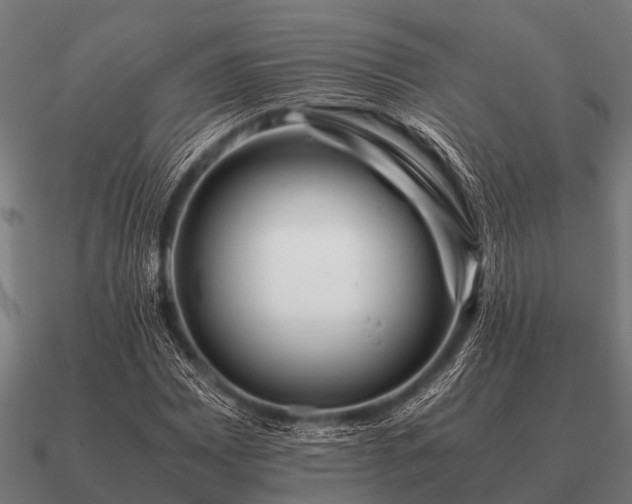 X0000090901065200708061500