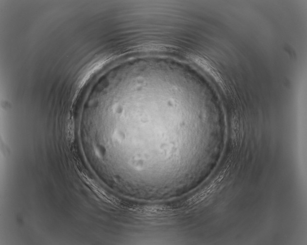 X0000090901067200708061500