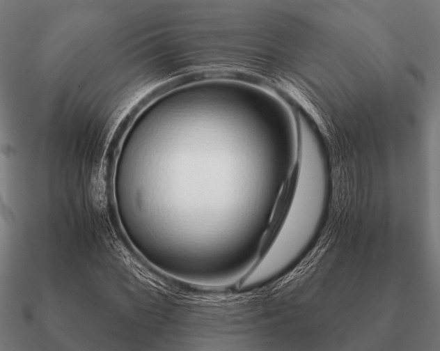 X0000090901068200708061500