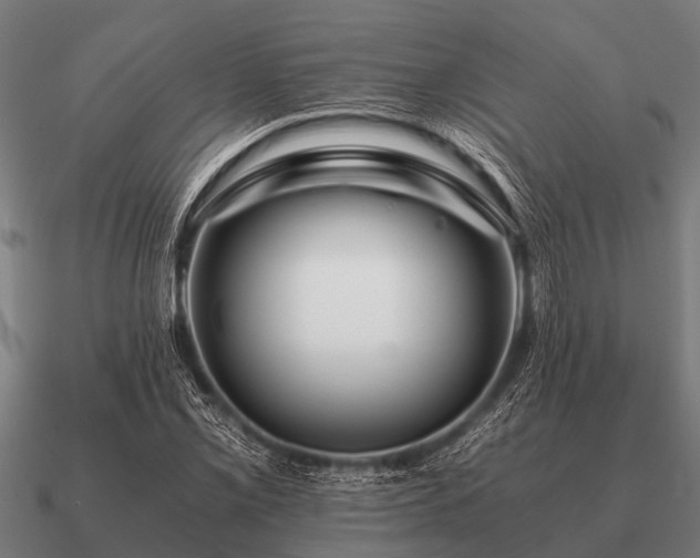 X0000090901069200708061500