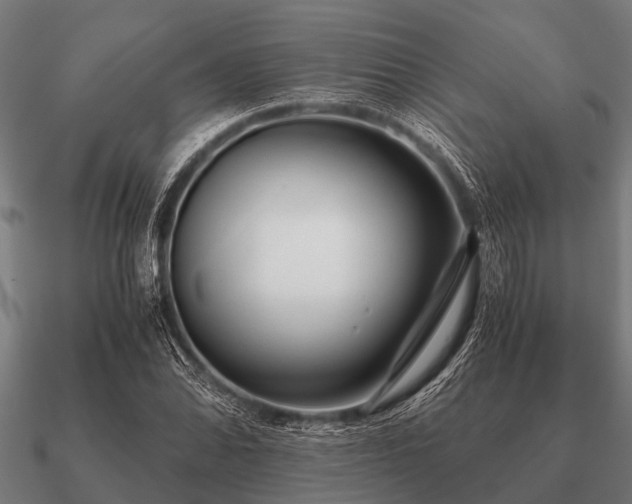 X0000090901070200708061500