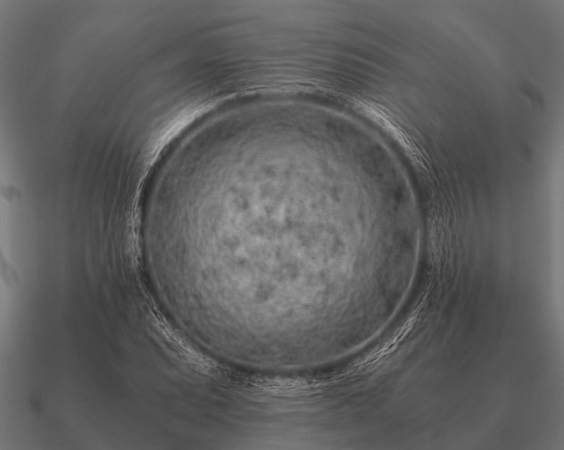 X0000090901071200708061500