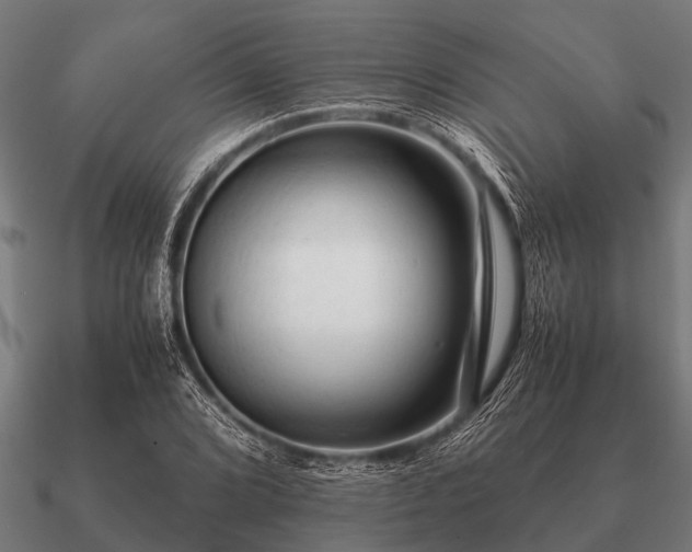 X0000090901072200708061500