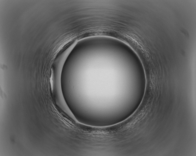 X0000090901073200708061500