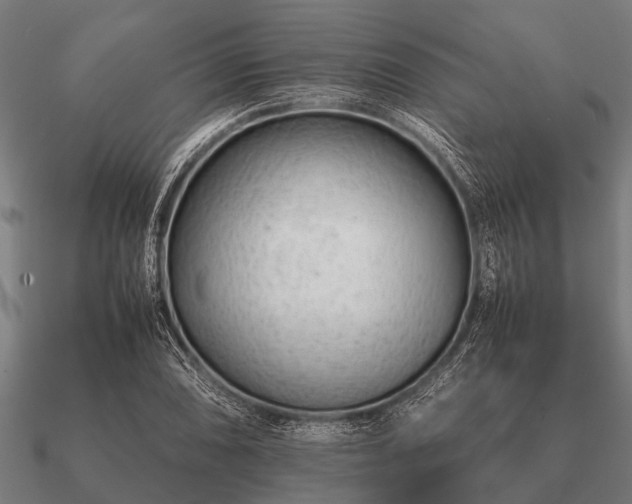 X0000090901074200708061500