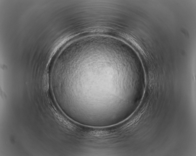 X0000090901075200708061500