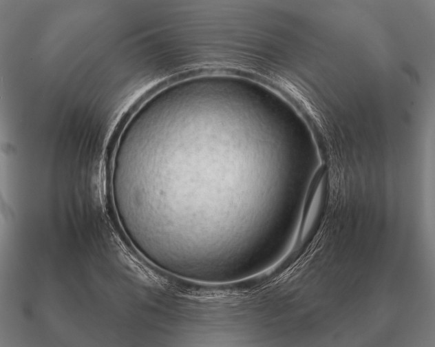 X0000090901076200708061500