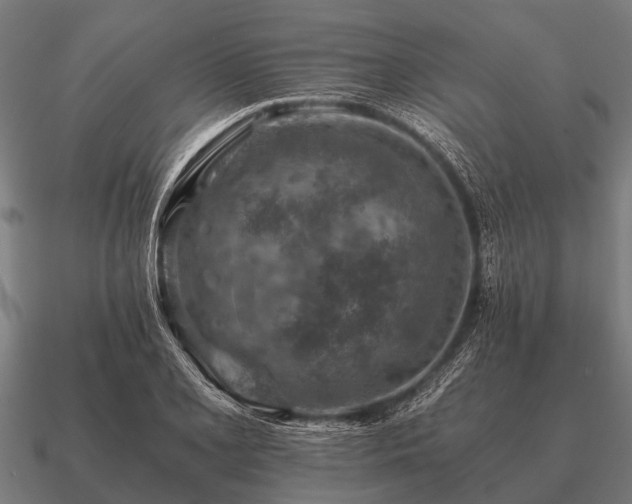 X0000090901077200708061500