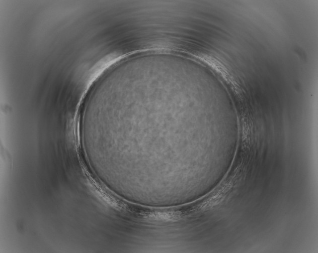 X0000090901078200708061500