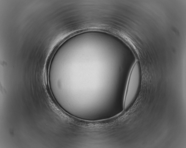 X0000090901080200708061500