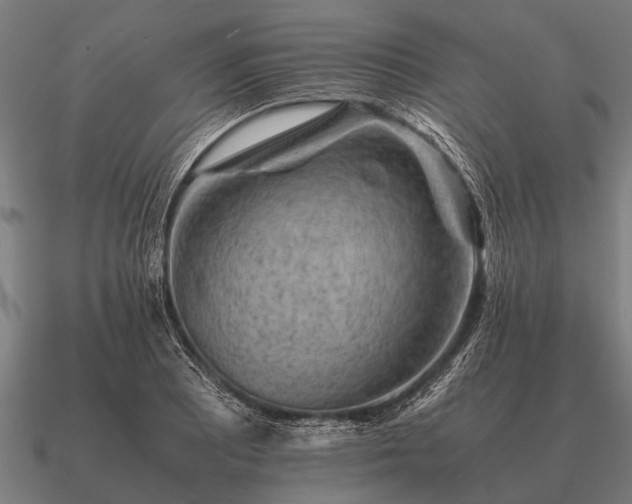 X0000090901081200708061500