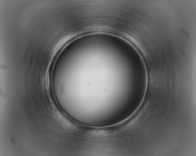 X0000090901082200708061459