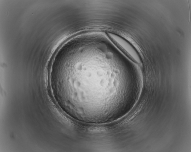 X0000090901083200708061459