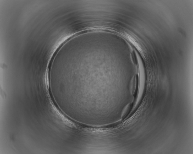 X0000090901084200708061459