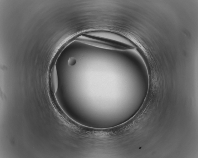 X0000090901085200708061459