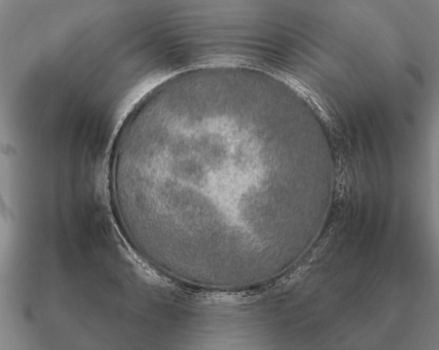 X0000090901086200708061459