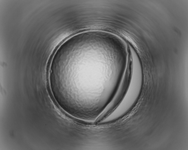 X0000090901087200708061459