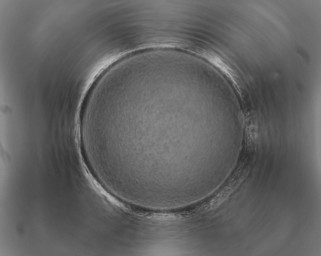 X0000090901088200708061459