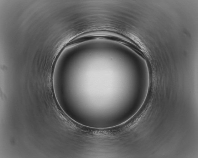 X0000090901089200708061459