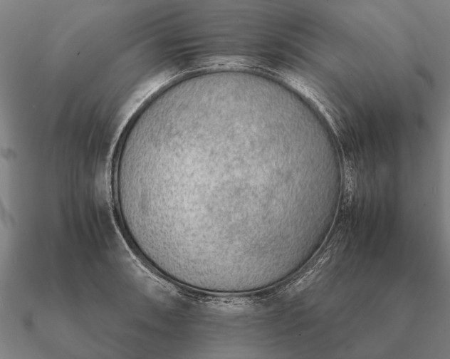 X0000090901090200708061459