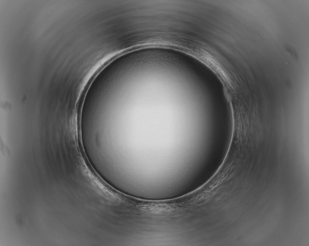 X0000090901092200708061459