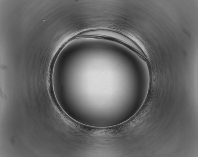 X0000090901093200708061459