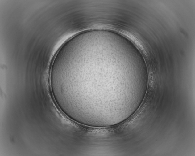 X0000090901094200708061459