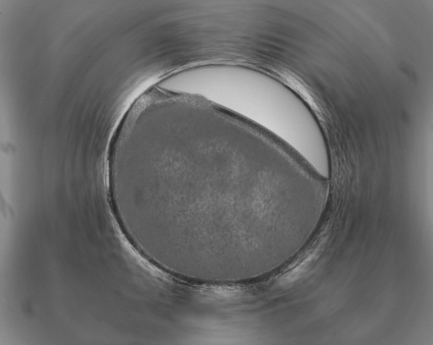 X0000090901095200708061459