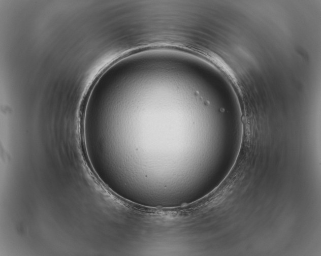 X0000090901096200708061459