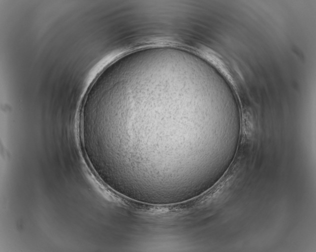 X0000090901098200708061459