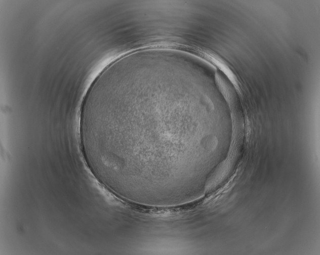 X0000090901099200708061459