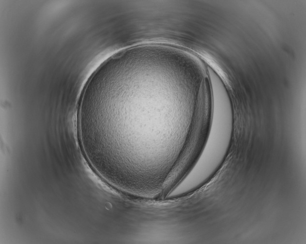 X0000090901100200708061459