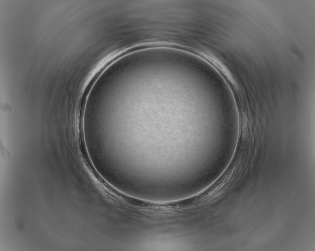 X0000090901101200708061459