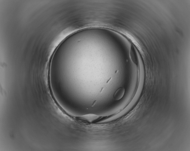 X0000090901102200708061459