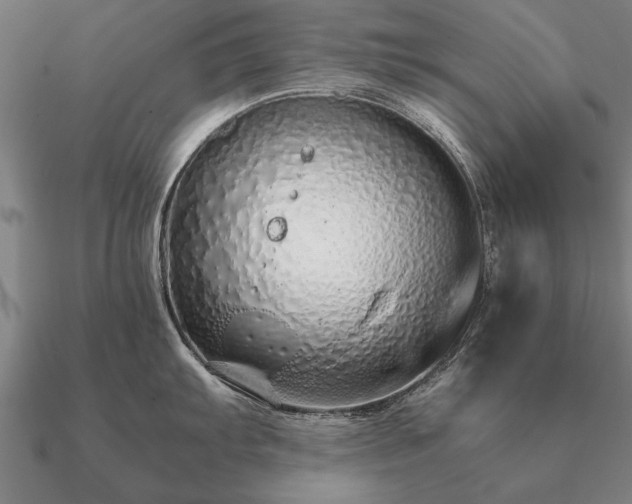 X0000090901103200708061459