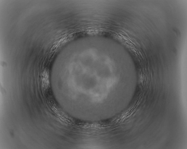 X0000090901106200708061459