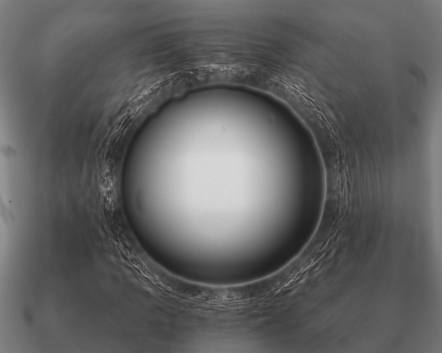 X0000090901109200708061459